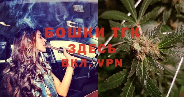 индика Тихвин