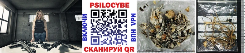 Галлюциногенные грибы GOLDEN TEACHER  купить  сайты  Мамадыш 